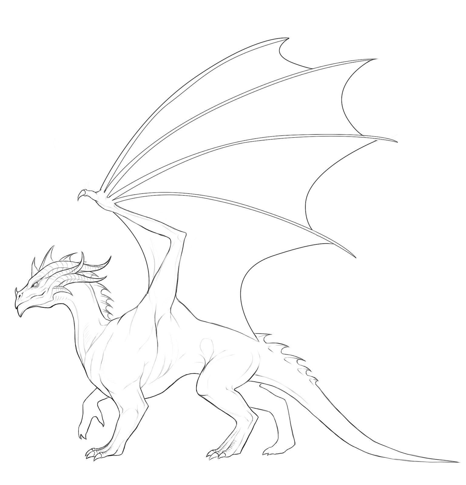 Заготовки для рисования драконов